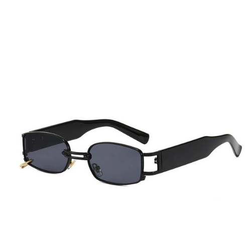 משקפי שמש רני